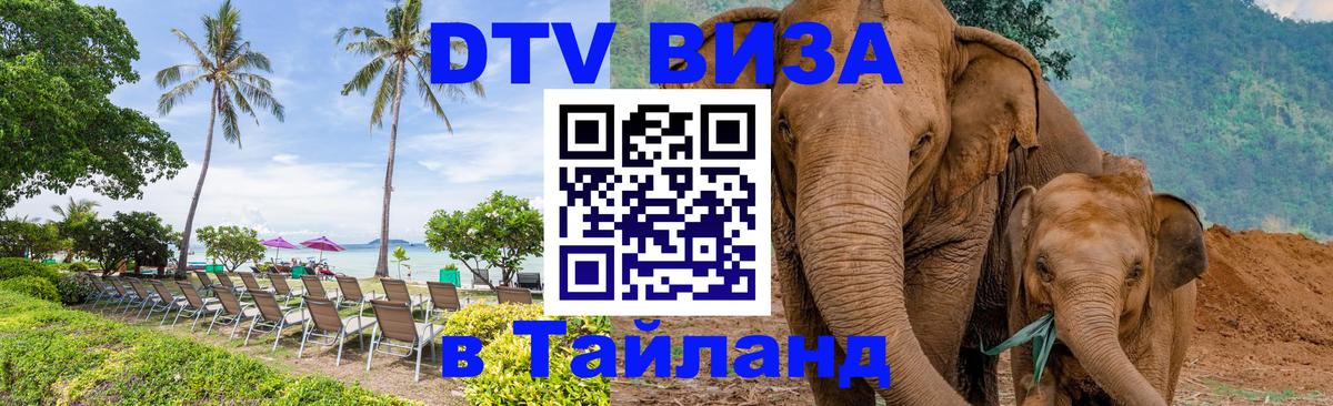 Сколько стоит виза DTV в Тайланд Тегеран 